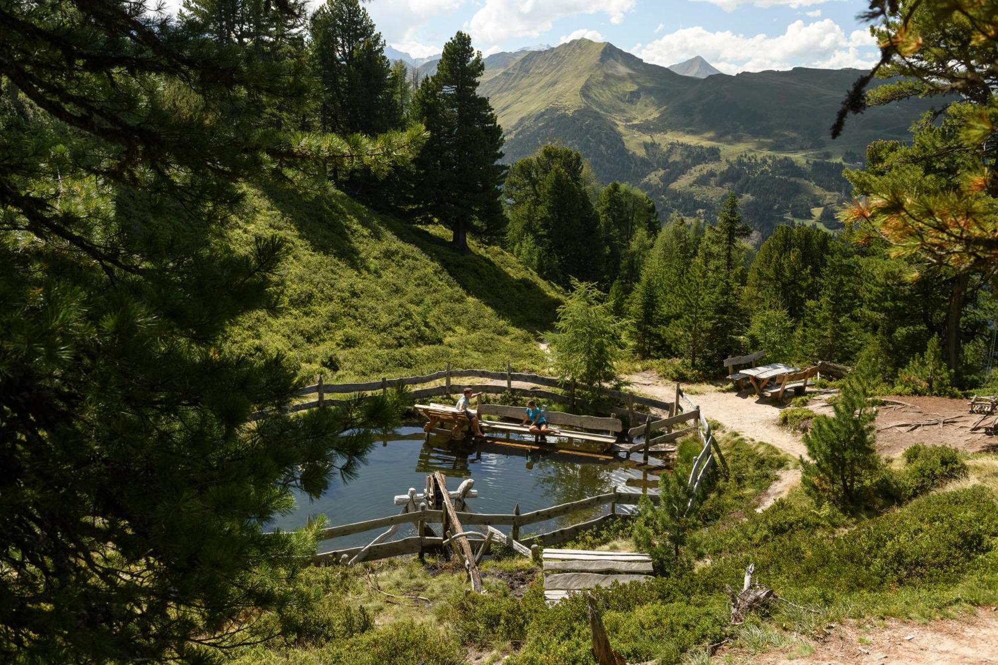 Aktiv- & Gesundheitsresort Das Gxund - Thermeneintritt Inklusive Bad Hofgastein Εξωτερικό φωτογραφία